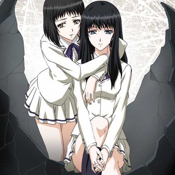 The Girl In The Shell 1